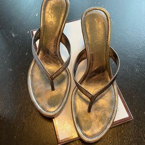 Coach Lannie Cork Wedge Sandal